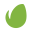 Envato-Logo-PNG-Official-Branding-for-Designers-Transparent